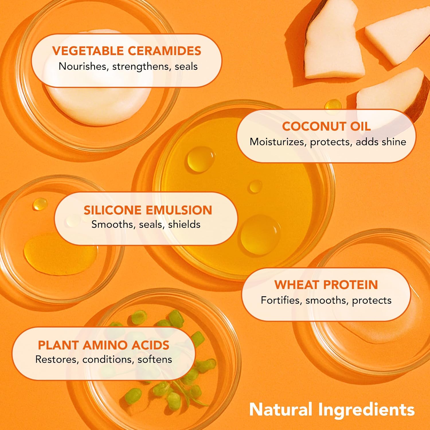 COMBO Cronograma Capilar Lata x3 Tubos 250gr c/u + Alisado Fashion Gold 300ml + Shampoo Protect 300ml + PreShampoo Protect 300ml + Mascara Protect 250gr